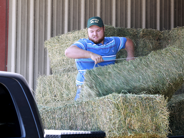 Hay and Livestock Feed Belton, TX